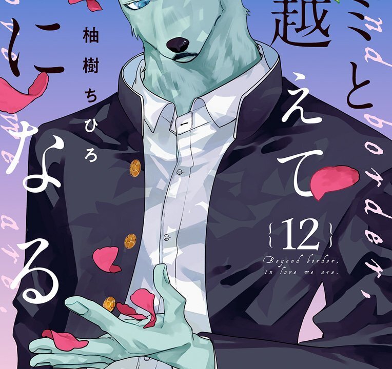 Tsunagu Hidaka com uniforme escolar, pétalas rosa nas mãos e uma flor ao fundo, na capa do volume 12 de Kimi to Koete Koi ni Naru