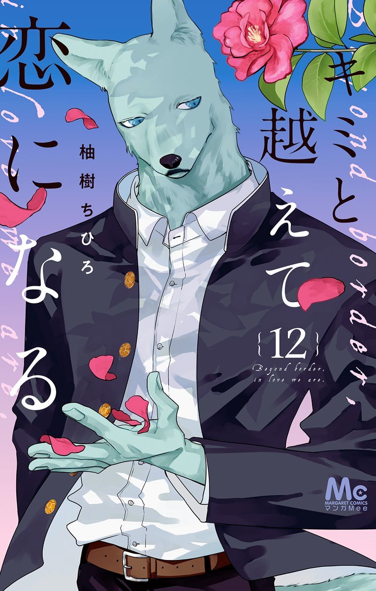 Tsunagu Hidaka com uniforme escolar, pétalas rosa nas mãos e uma flor ao fundo, na capa do volume 12 de Kimi to Koete Koi ni Naru